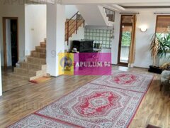 Vila Spatioasa Bucuresti