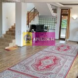 Vila Spatioasa Bucuresti
